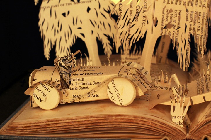 wind in the willows toad web